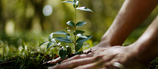 Environmental Governance, Policy & ESG