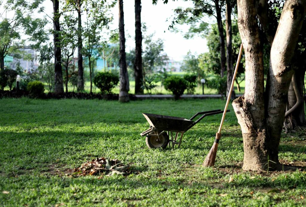Biodiversity & Ecosystem Conservation