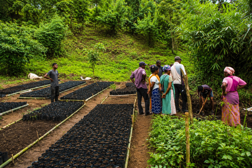 Sustainable Natural Resource Management